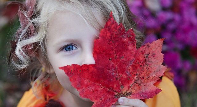 manualidades otoño
